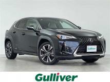 2019 Lexus UX