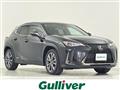 2019 Lexus UX