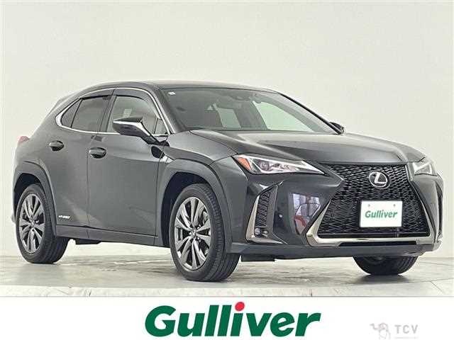 2019 Lexus UX