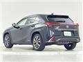 2019 Lexus UX