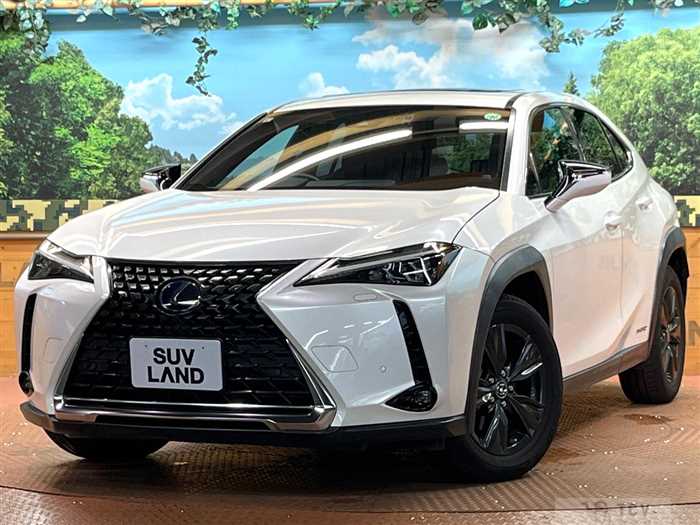 2019 Lexus Other