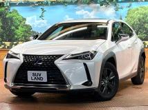 2019 Lexus Other