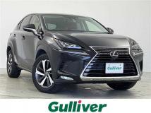 2019 Lexus NX