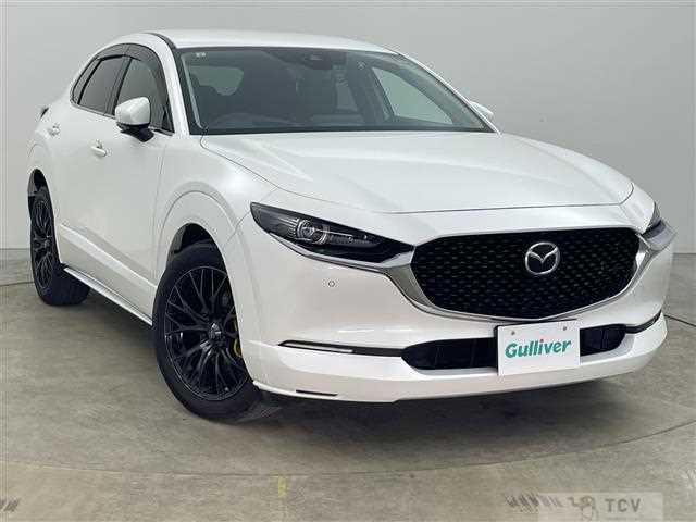 2019 Mazda CX-3