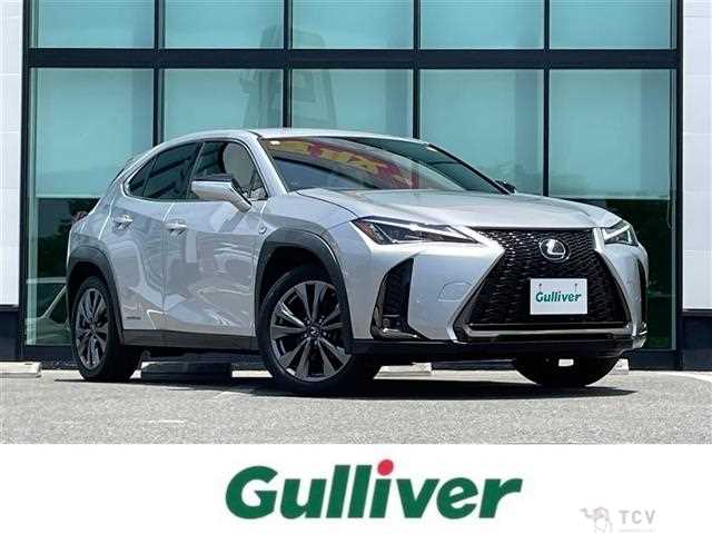 2021 Lexus UX