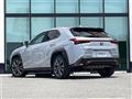 2021 Lexus UX
