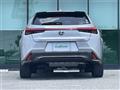 2021 Lexus UX