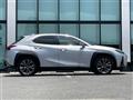 2021 Lexus UX
