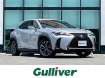 2021 Lexus UX