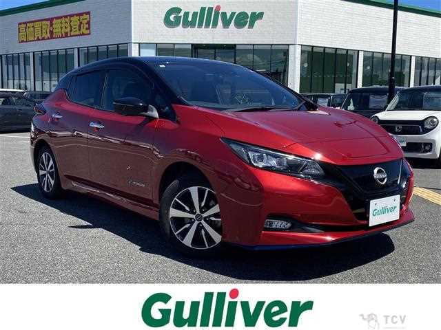 2021 Nissan Leaf