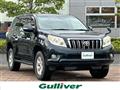 2011 Toyota Land Cruiser Prado