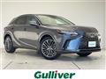 2025 Lexus RX