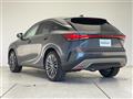 2025 Lexus RX
