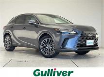 2025 Lexus RX