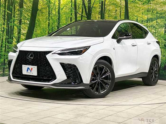 2022 Lexus NX