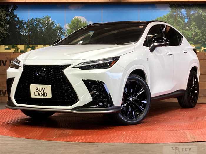 2024 Lexus NX