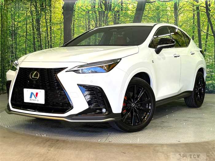 2024 Lexus NX