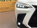 2024 Lexus NX