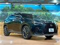 2024 Lexus NX