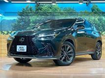 2024 Lexus NX