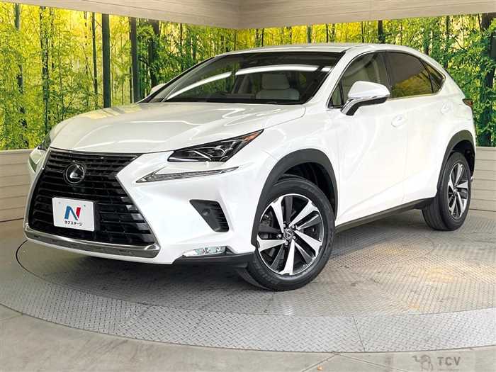 2017 Lexus NX