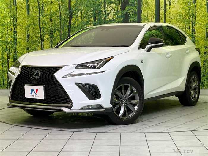 2018 Lexus NX