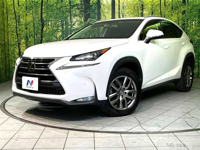 2016 Lexus NX