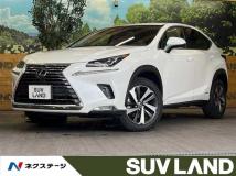2019 Lexus NX