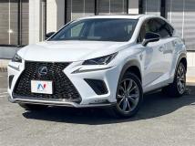 2019 Lexus NX