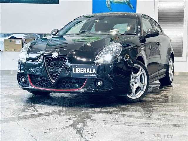 2019 Alfa Romeo Alfa Romeo Others