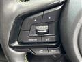 2019 Subaru Subaru Others