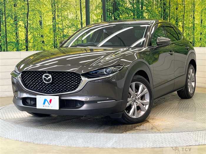 2019 Mazda Mazda Others