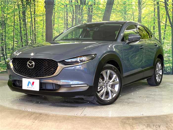 2019 Mazda Mazda Others