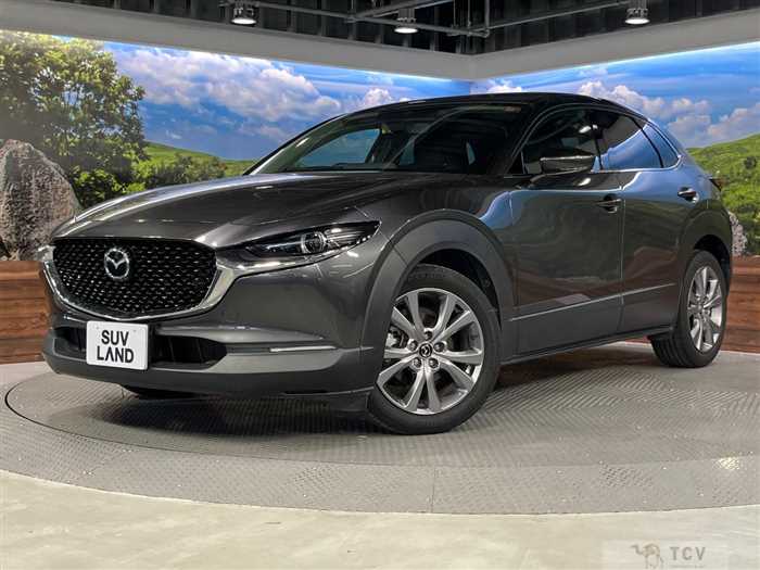 2020 Mazda Mazda Others