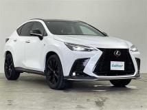 2023 Lexus NX