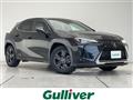 2019 Lexus UX