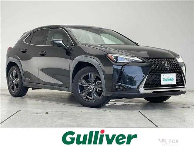2019 Lexus UX