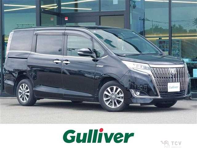 2019 Toyota Esquire
