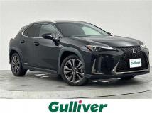 2019 Lexus UX