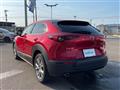 2021 Mazda CX-3