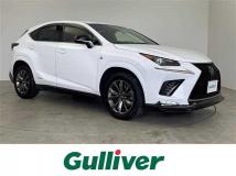 2018 Lexus NX