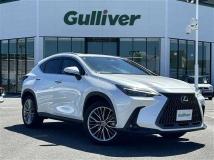 2022 Lexus NX