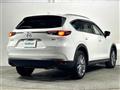 2019 Mazda CX-8