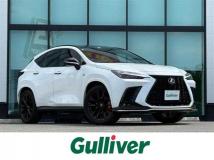 2025 Lexus NX