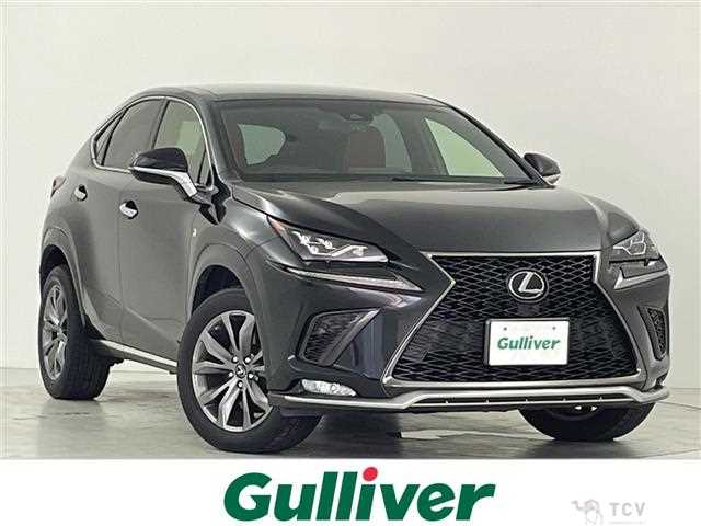2018 Lexus NX
