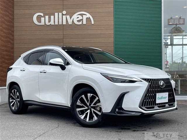 2024 Lexus NX