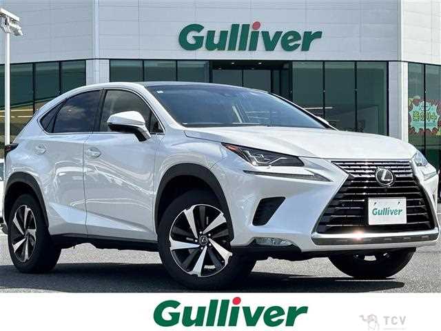 2018 Lexus NX