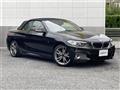 2015 BMW 2 Series