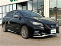 2019 Nissan Leaf