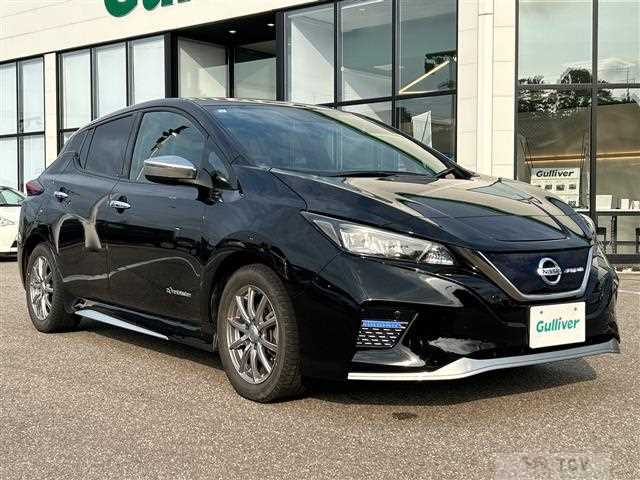2019 Nissan Leaf